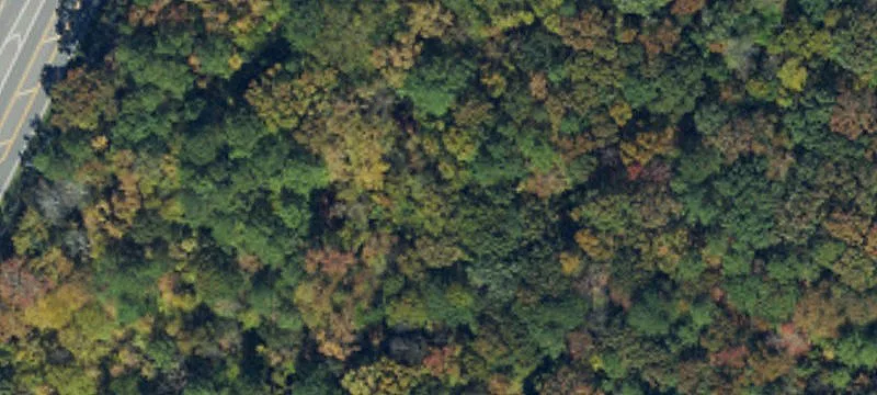 4421 Page Rd