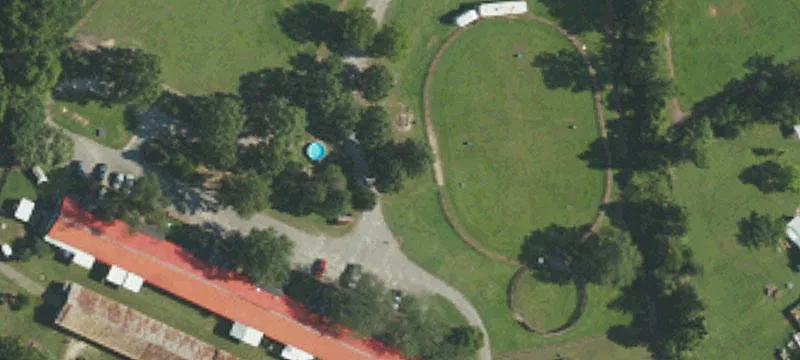 299 Brogden School Rd