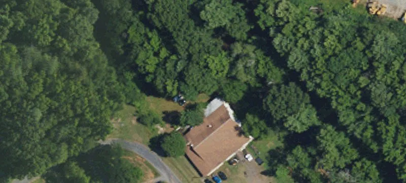 204 Memory Ln