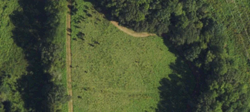 2620 Roberts Rd