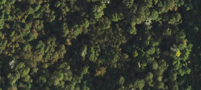 Mars Hill, NC 28754