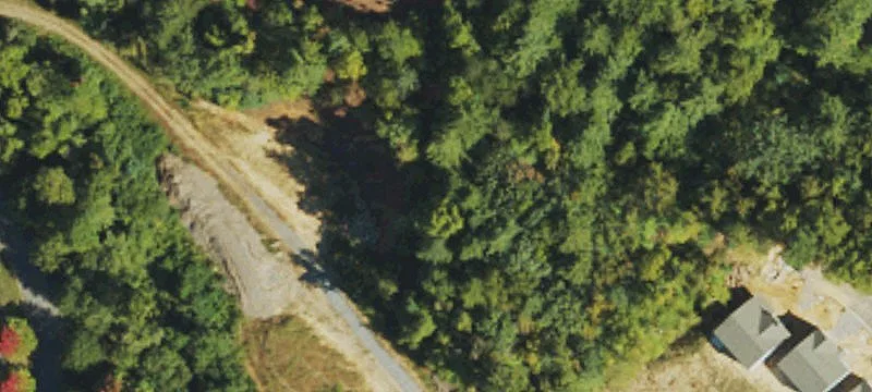 99999 Switchgrass Loop