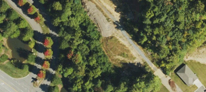 Switchgrass Loop
