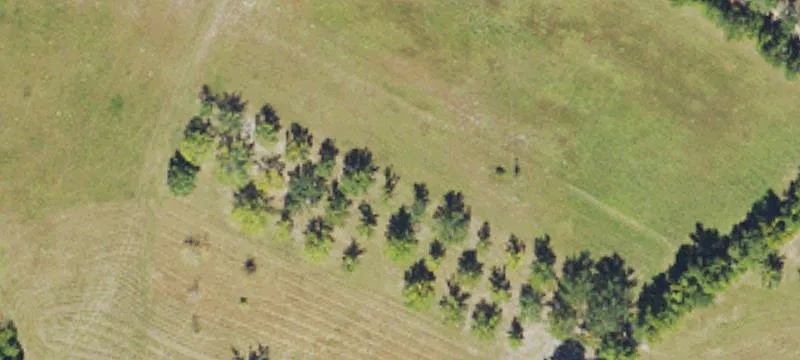 2981 Bee Tree Farm NE Trl