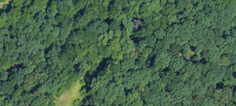 11620 Mt Holly Hntrsvlle Rd