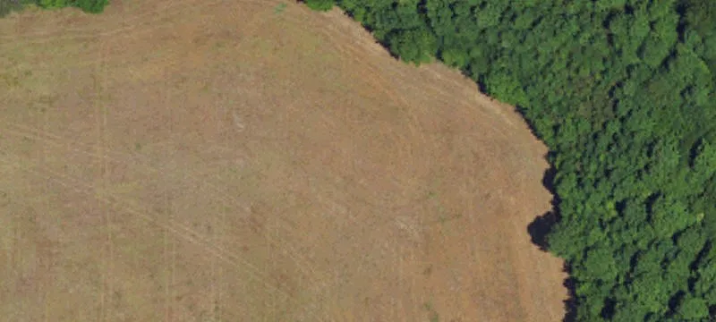 4290 Redcedar Rd