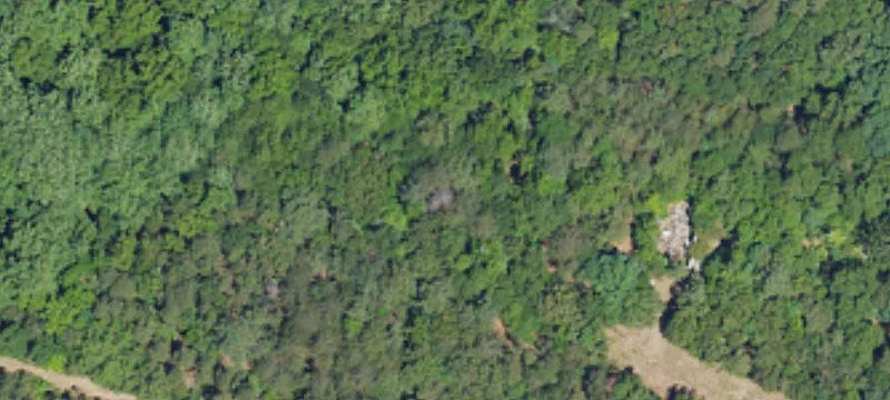 11031 Mt Holly Hntrsvlle Rd