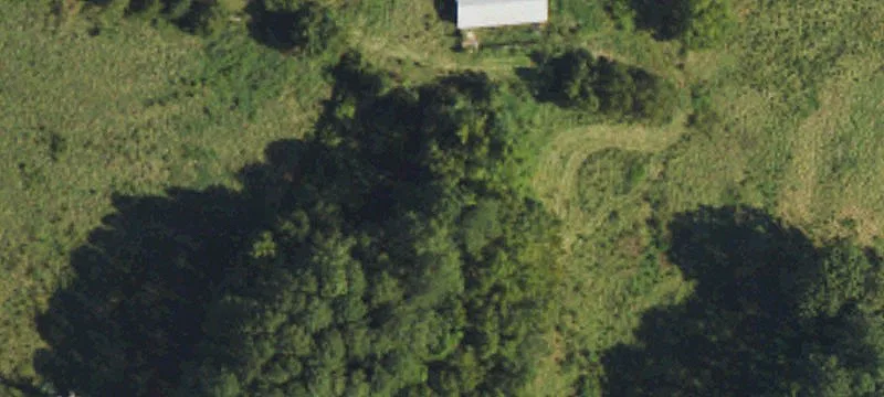 1965 Benson Rd