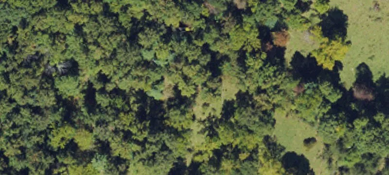 268 Town Br Rd