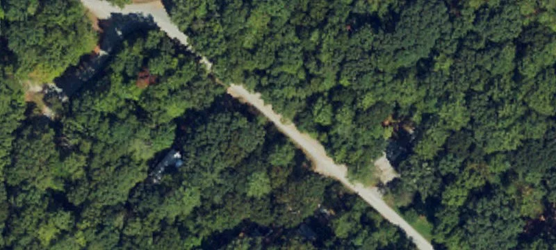 Big Woods