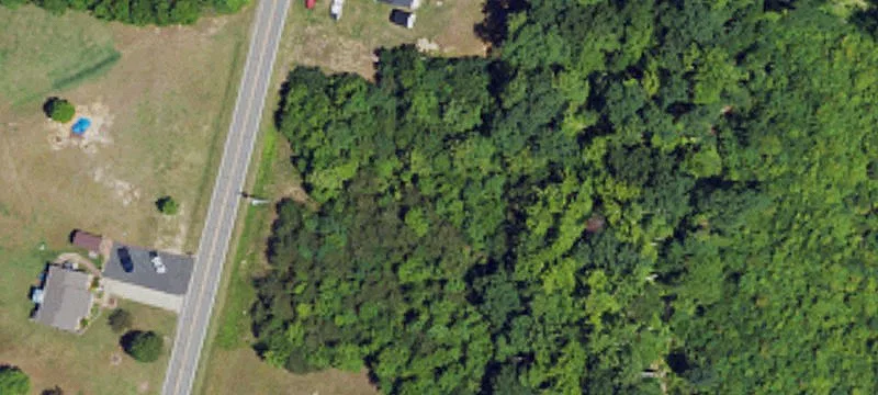 225 Crutchfield Rd