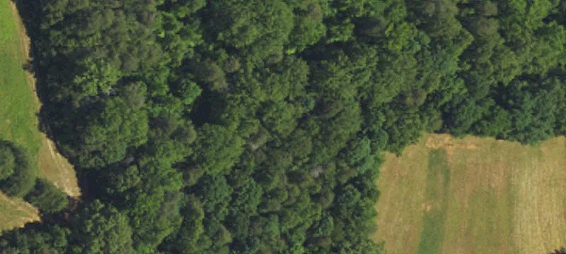 1443 Isley School Rd