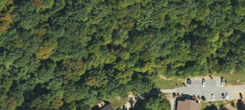 1675 Mollys Backbone Rd
