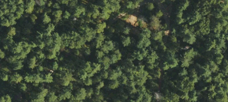 Hendersonville, NC 28739