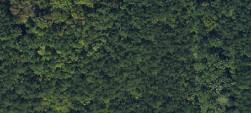 2315 Ferrell Rd