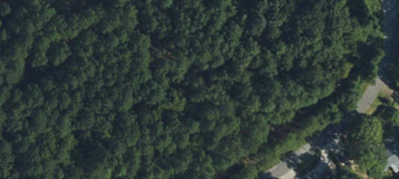 1110 Stone Rd