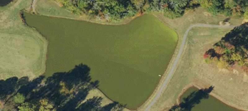 2817 Barnett Rd
