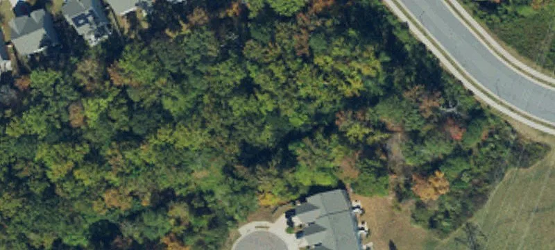 5288 Chin Page Rd