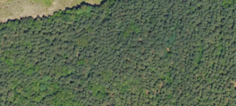 10747 Mt Holly Hntrsvlle Rd