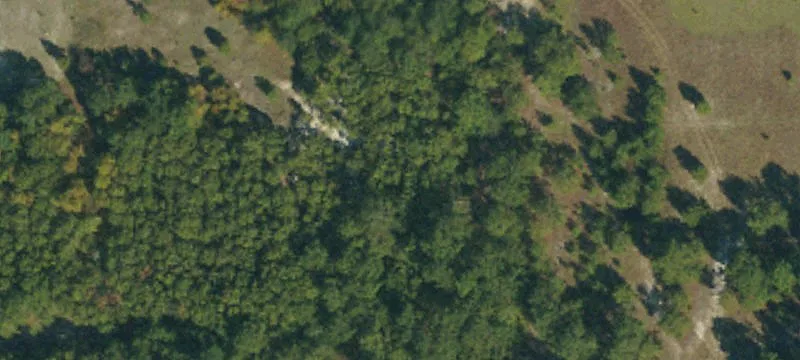 596 Palestine Rd