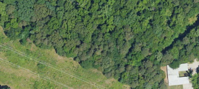 11855 Mt Holly Hntrsvlle Rd