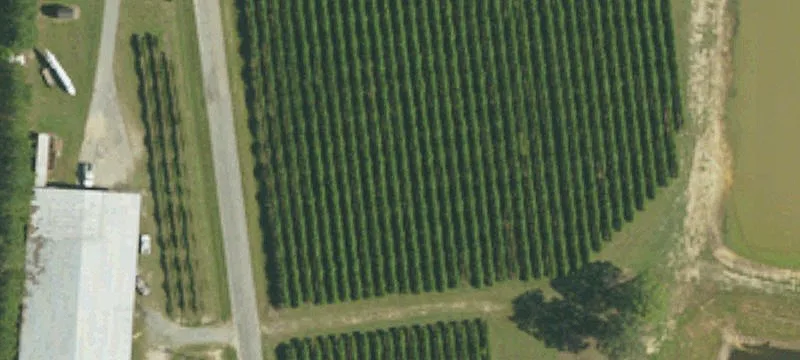 2550 Stephenson Rd