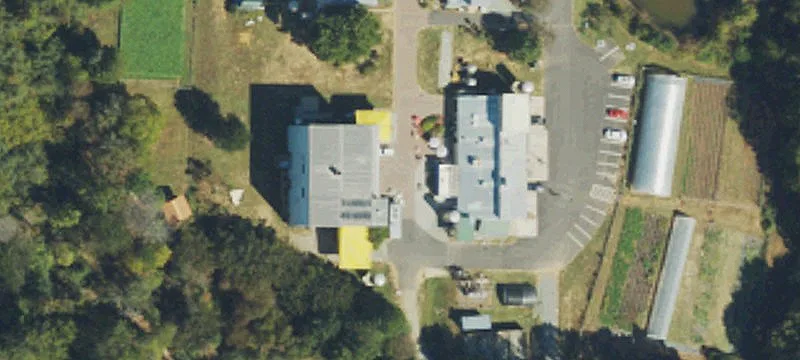 213 Lorax Ln