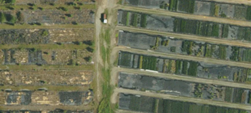 1361 Benson Hardee Rd