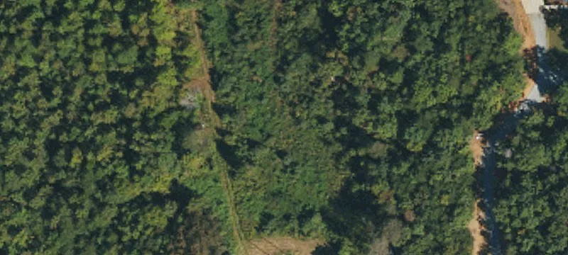 9098 Nc 10th Hwy