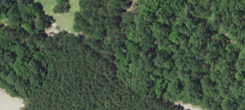 1429 Reilly Rd