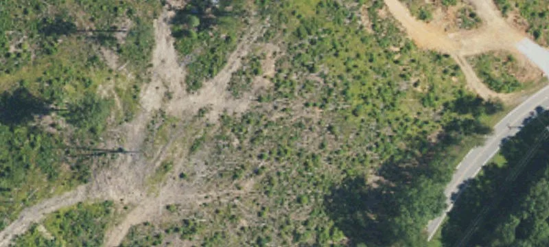 Blaine Rd