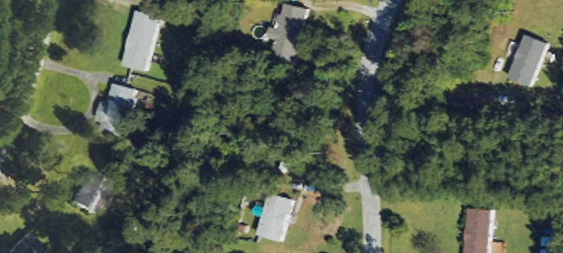 114 Bellhammon Frst Dr