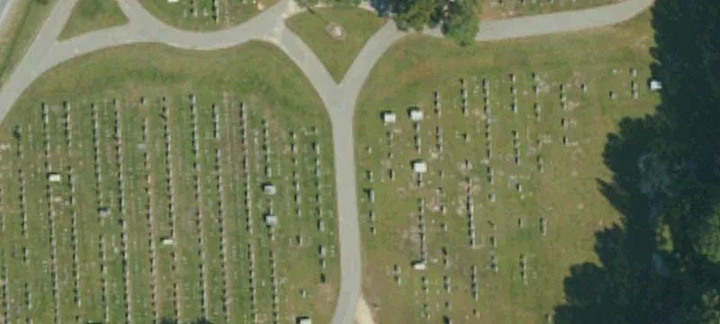 50 Cornelius Harnett Blvd
