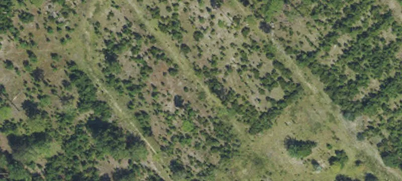 18463 Us Hwy 17