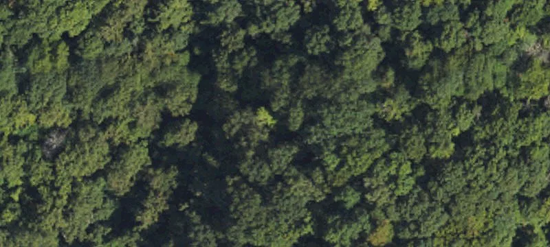 Mars Hill, NC 28754