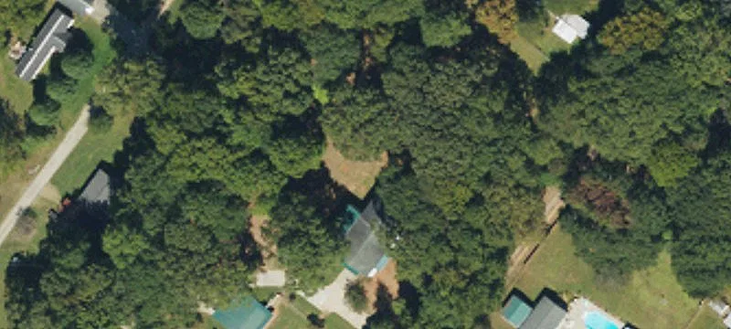 Hickory Grove