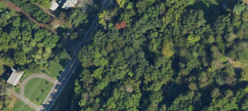 Williams Rd