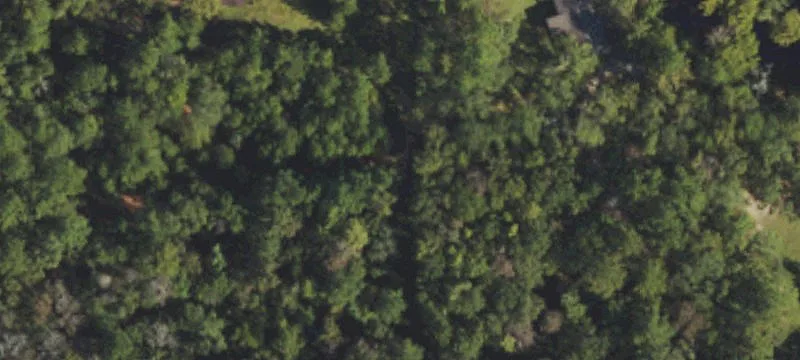 5138 Old Maple Hl Rd