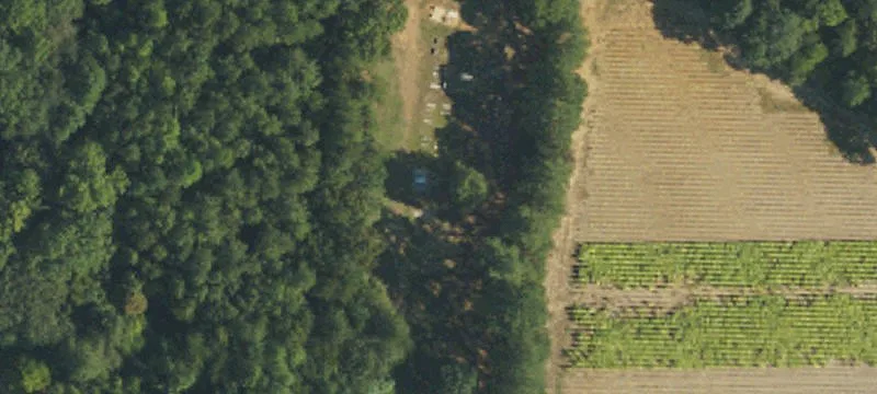 931 Olive Br Rd