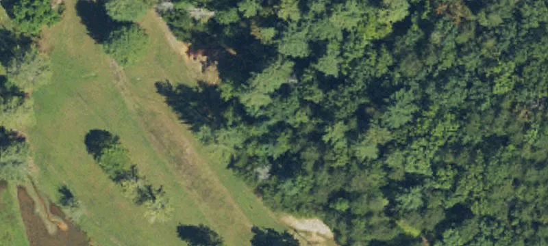 702 Winesap Rd