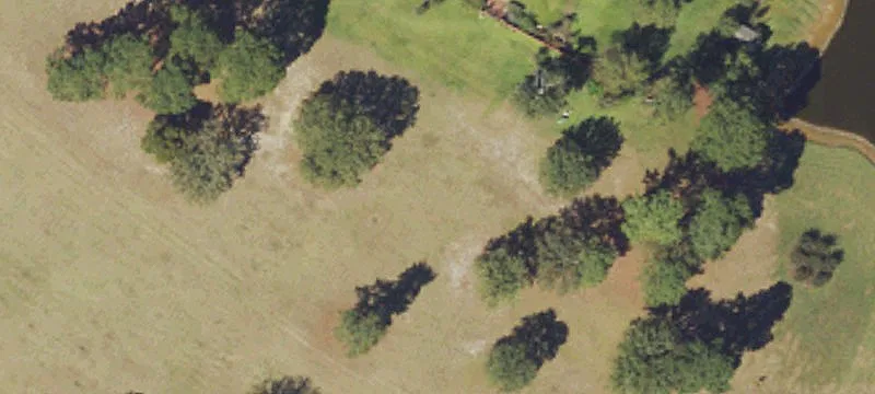 440 Devin Dr