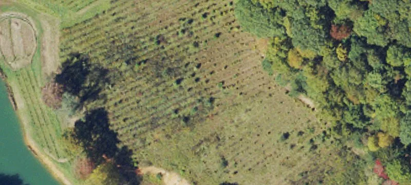 2912 Mtn Dl Rd