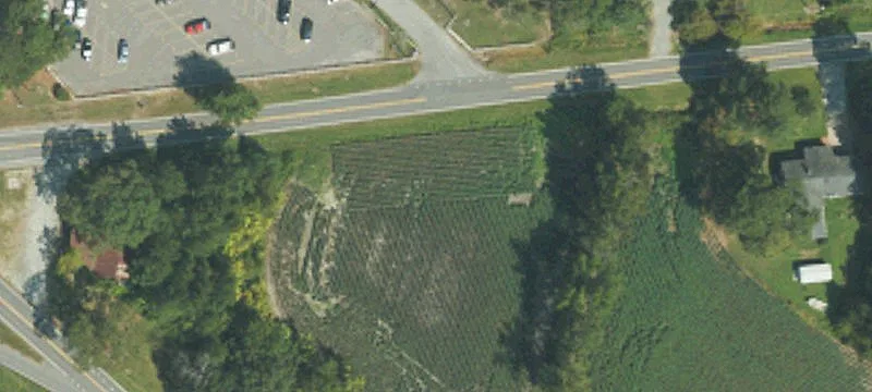 3689 Wheat Swamp Rd
