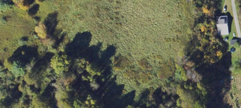 Vilas, NC 28692