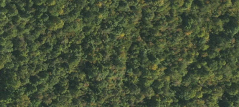 400 Dixon School Rd