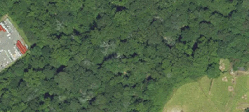 1507 Mt Dr