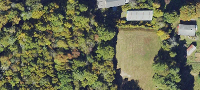 446 Leon Coffey Rd