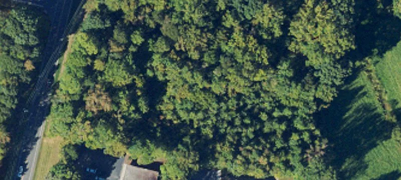 Beaver Farm Rd