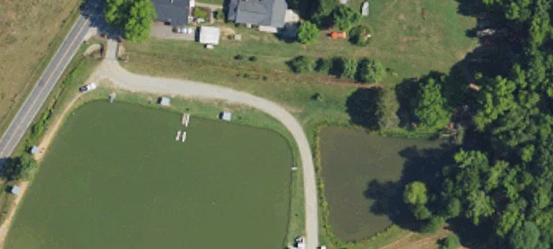 441 Toms Lk Rd