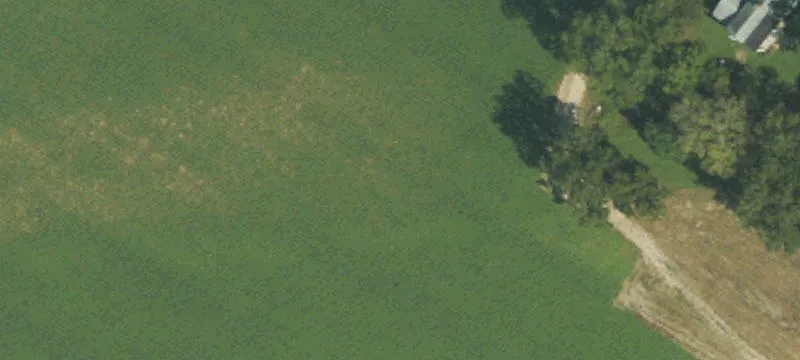1910 Hwy 258th S